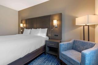 Comfort Inn & Suites Balch Springs - SE Dallas - 4