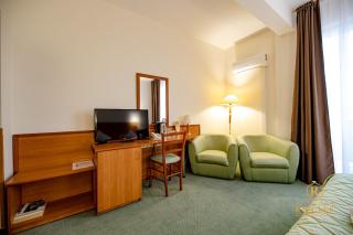 Hotel Rivulus - Baia Mare - 3