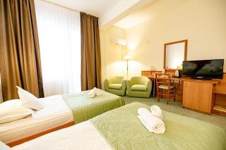 Hotel Rivulus - Baia Mare - 2