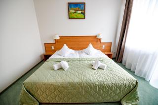 Hotel Rivulus - Baia Mare - 6