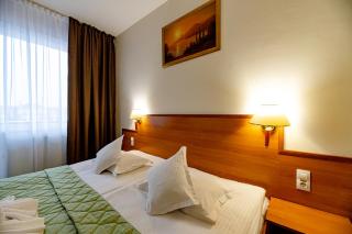 Hotel Rivulus - Baia Mare - 4