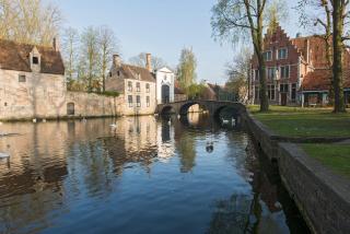 The Queen's Twelve by Romy&Travis - Bruges - 2