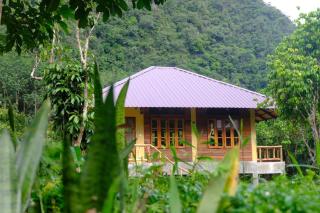 Monkey Mansion - Jungalows & Tours - Khao Sok - 2