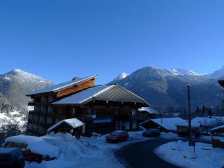 STUDIO LUMINEUX -SAINT JEAN D'AULPS STATION - 5 Personnes- RELAIS S29 - Saint-Jean-d'Aulps - 8
