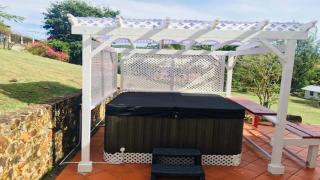 Sephina Villa St Lucia Island Dream Holidays - 2