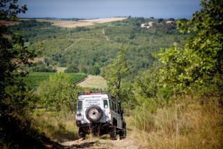 al Merlo Olivo, rural istrian house - Buje - 2