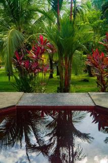 Walk to the beach, chill by the pool. Casa Sol! - Pavones - 7