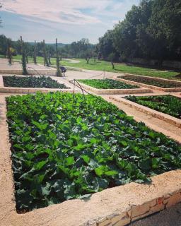 Villa Moresca dei Trulli Fernando - 1