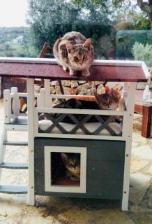 Villa Moresca dei Trulli Fernando - 8