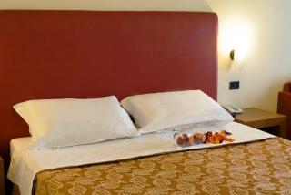 Hotel Cristallo di La Rosetta Srl - Assisi - 7