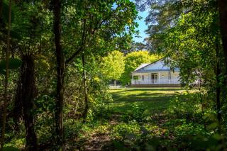 The Forest House - 3