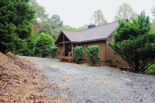 Wandering Bear's Den - Ellijay - 9