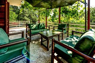 Villa Dijana - Pool, Spa, Outdoor Kitchen - Belgrade - 5