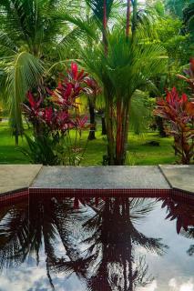 Pool house, Casa Luna - Pavones - 1