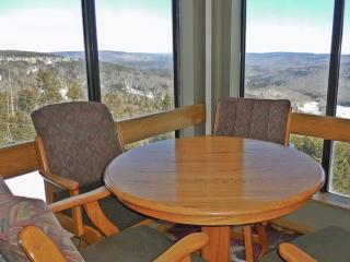Enjoy the Long Range View, Ski in n out Top of the Mountain condo - 3