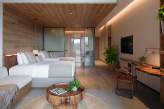 1 Hotel Haitang Bay, Sanya - Sanya - 9