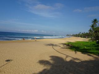 Suite Lanka - Hikkaduwa - 1