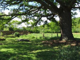 Atelier natur'L Les ronzieres - Saint-Paul-dʼUzore - 1
