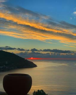 Fedra Apartments - Poros - 8