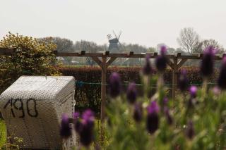 Ferienwohnung Muehlenblick - Pommerby - 3
