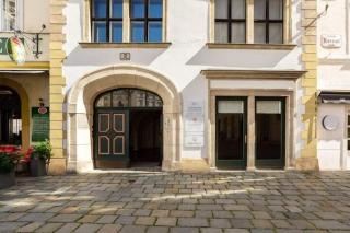 Air Condition I all sights in walking distance I 201 Mbit Wifi - Vienna - 2