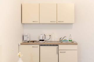 Air Condition I all sights in walking distance I 201 Mbit Wifi - Vienne - 1