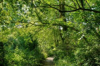 Cusgarne Manor boutique B&B - adults only - 1