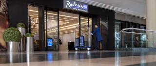 Radisson Blu Hotel, Beirut Verdun - 3