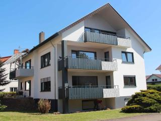 Piratenlodge - Ringsheim - 7