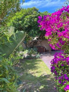 Sunset Beach Living Guesthouse - Città del Capo - 6