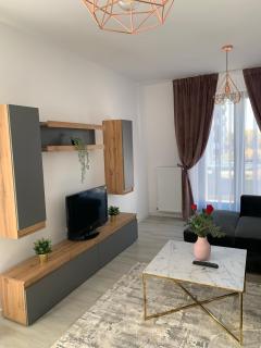 Luxurious & Cozy apartment - 5