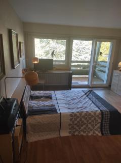 Résidence le Faucon - Col du Donon - 0