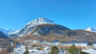 Lodola - Pontresina - 5
