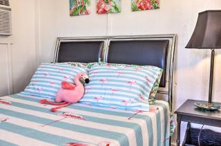 Flirty Flamingo Studio 1 Mi to Canyon Lake - Canyon Lake - 4