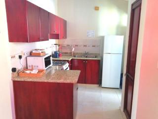 Acogedor-Hermoso apart completo equipado de 2 hab. - Santiago de los Caballeros - 9