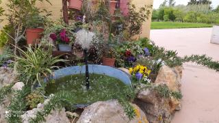 I Giganti - Riola Sardo - 2
