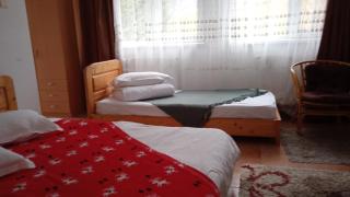 Casa Zura - Buşteni - 4