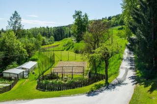 Ferienwohnungen Fam. Köberl - Gundersdorf - 9
