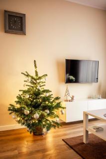 Apartament Bimba & Free Parking - 9