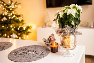 Apartament Bimba & Free Parking - 2