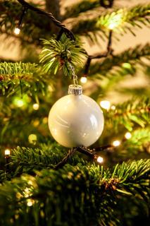 Apartament Bimba & Free Parking - 5