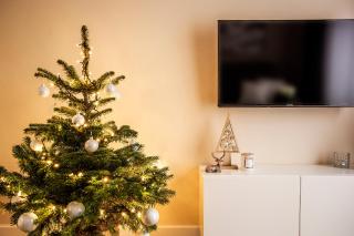 Apartament Bimba & Free Parking - 8