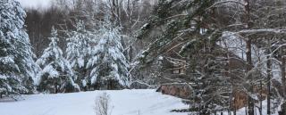 The Lake House "Ausatas" - Dobele - 5