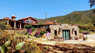 Viña Calabria - Valle de Guadalupe - 7
