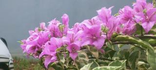 Aqsa Guest House Ciamis Syariah - 3