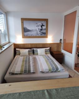 PenthouseApartment 250° - Sonthofen - 9