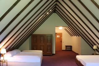 Sauerland Alpin Hotel - Schmallenberg - 4