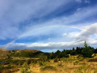 Mt Gold Glamping - Wanaka - 5