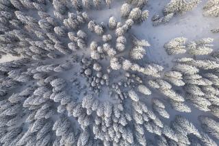 Triangel Boutique Hotel - 4