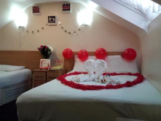 Britannia Inn Hotel - Ilford - 3